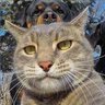 Oleg Dubrovskij profil fotoğrafı