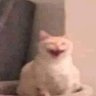 Ale's profile picture