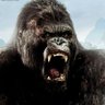 Profilbild von Thunder Kong