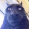 John Pallet's profile picture