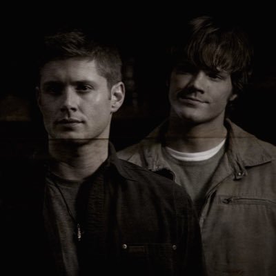 ๐ค's profile picture