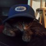 Profilbild von Oilerscat