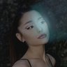sofia's profile picture