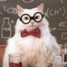 Cat Catty 的头像