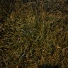 Фото профиля abdurhman25