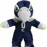 Фото профиля Sadistic Seahawks Fan