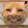Mhd IrfanFadillah's profile picture
