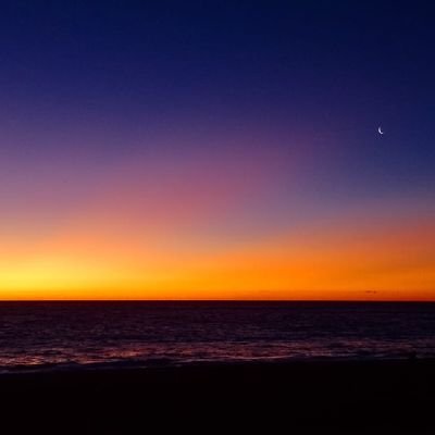 moalur's profile picture
