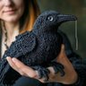 tokillalovebird's profile picture