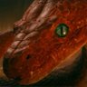 JJJHJ's profile picture