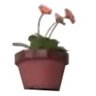 日の当たる庭's profile picture