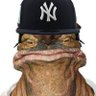 Profilbild von BIGbrainGardy