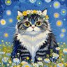 猫总说 profil fotoğrafı