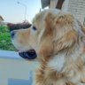 Mari's profile picture