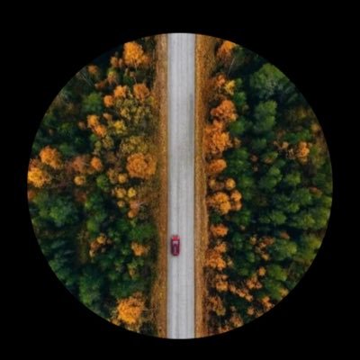 mansyboom's profile picture