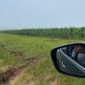 Akhona Farmer profil fotoğrafı