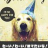 ロケットプロージョン profil fotoğrafı