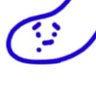 ふかひれ(((✋✋))) 的头像