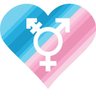 David Thommes's profile picture