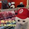 Pop corn / Ice cream 的头像