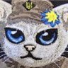 Profilbild von CatnamedKat