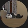 Profilbild von k