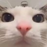 JRD's profile picture