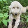 Stacie profil fotoğrafı