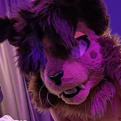 jasperkittyAD's profile picture