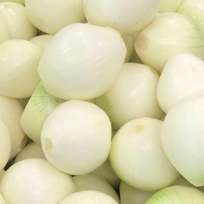 守屋知史's profile picture