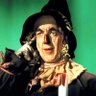 fiyero da shopee's profile picture