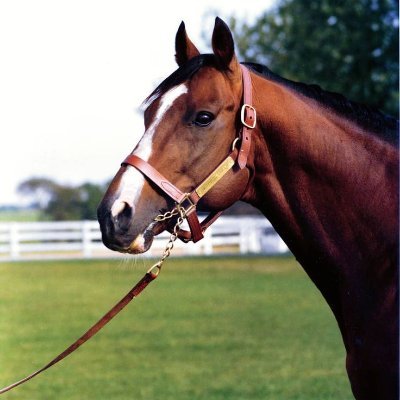 Javier I. Farache's profile picture