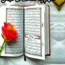 اليمن موطني profil fotoğrafı