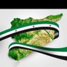 رنـᬽـوشـᬽـة's profile picture