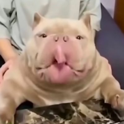 𝐋𝐞𝐆𝐨𝐚𝐭𝐲 𝕏's profile picture