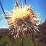 Kristie Byington's profile picture
