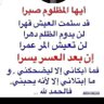 نجيب الناصر's profile picture