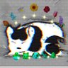 ねむりねこ💤's profile picture