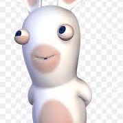 bigbootyboies's profile picture