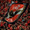 Mohamed Rabie's profile picture