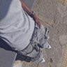 Ghost💭🍁 profil fotoğrafı