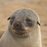 Profilbild von Onkii