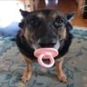 (⁠✯☆zarai☆✯⁠)'s profile picture