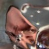 Profilbild von void screamer