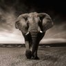 Фото профиля Manny Morales