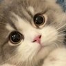 Jagoan profil fotoğrafı
