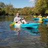 D. Lee 的头像