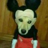 Profilbild von Yappertron