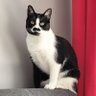 MarioMark's profile picture