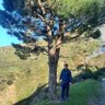 Abdelkader profil fotoğrafı